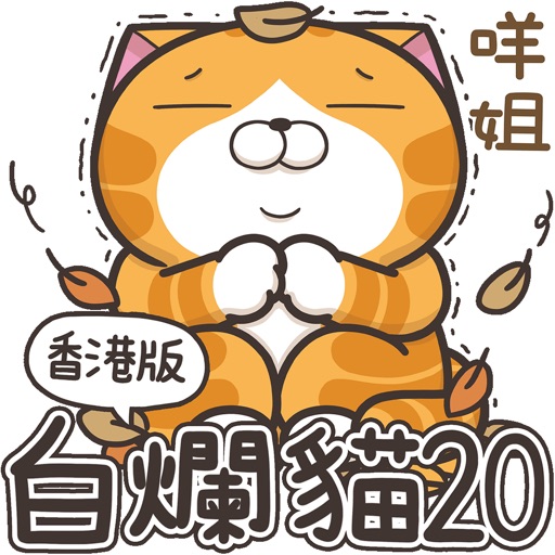 白爛貓20 五告秋 (HK)